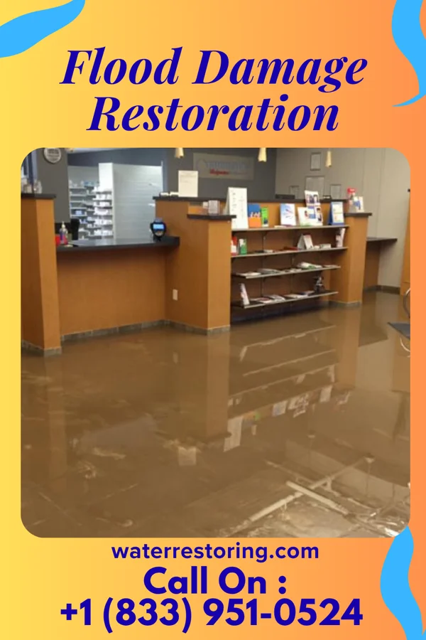 Flood Damage Restoration in Dora, NM
