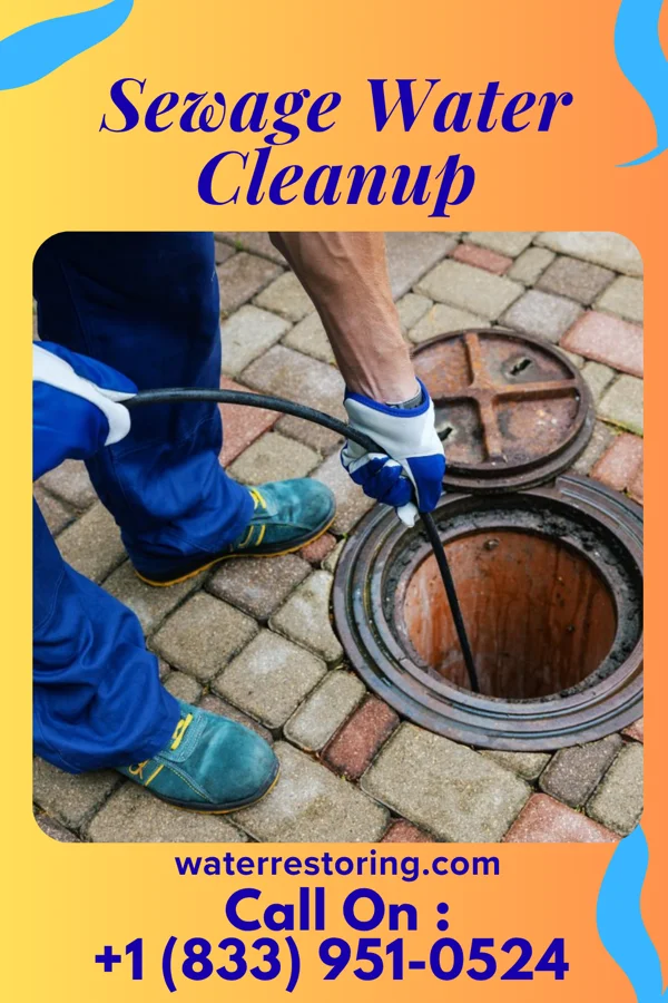 Sewage Water Cleanup in Dora, NM