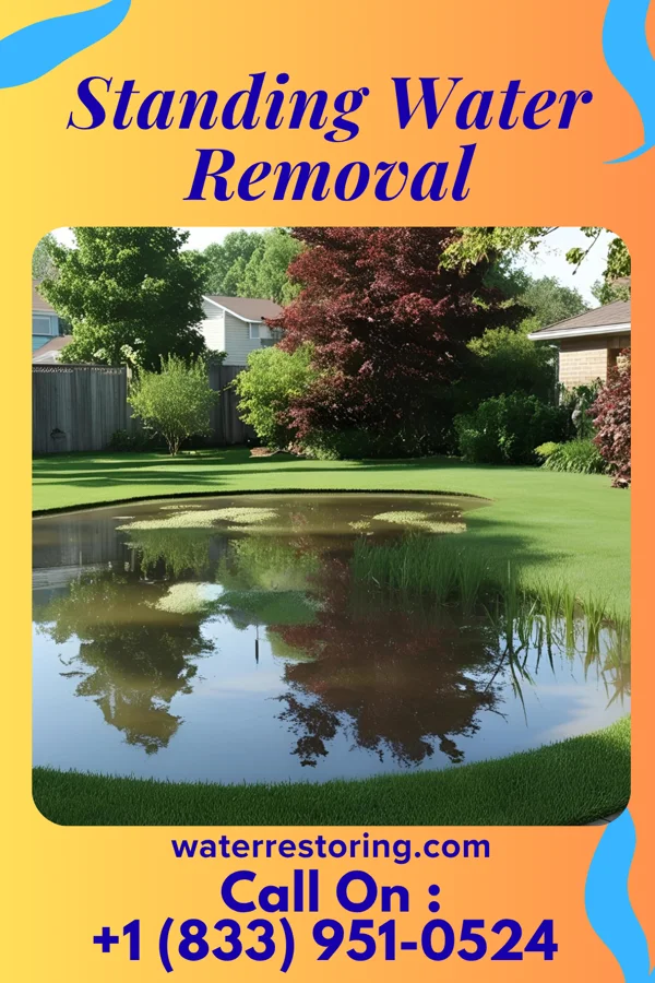 Standing Water Removal in Dora, NM